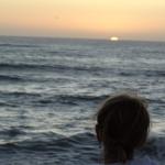 cambria2014_120 (October 25, 2013)